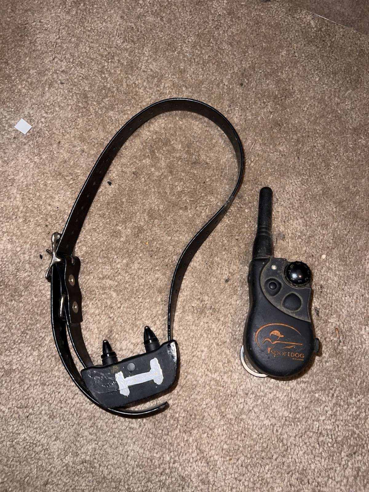 SportDOG Remote Dog Training Collar & Transmitter 1 Dog Tested Working