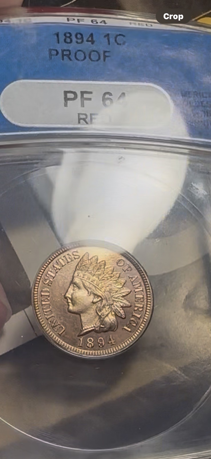 1894 Proof IHC Anacs PF64 RED Indian Head Cent