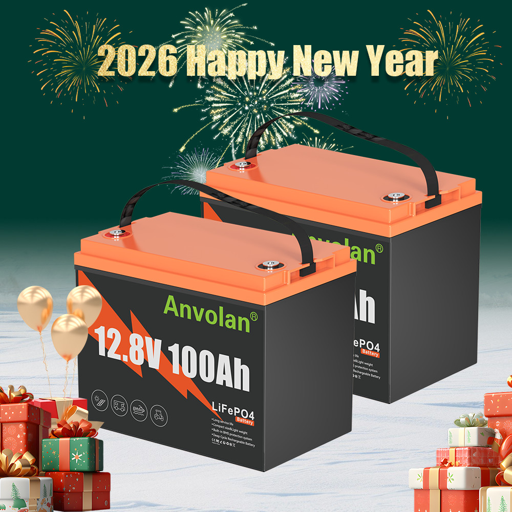 2X Lithium Iron Phosphate Battery 100Ah 12V LiFePO4 Battery 15000+Cycles BMS