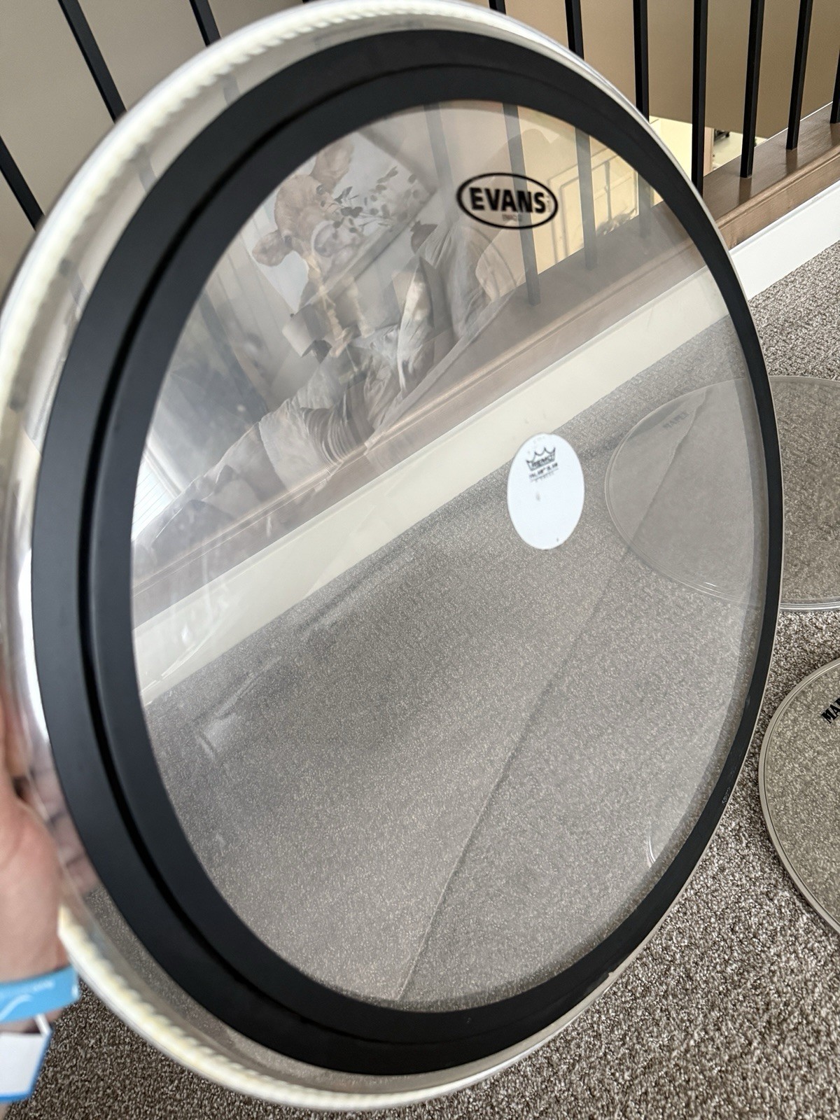 Drum Heads Lot EMAD, Evans, Remo/Mapex