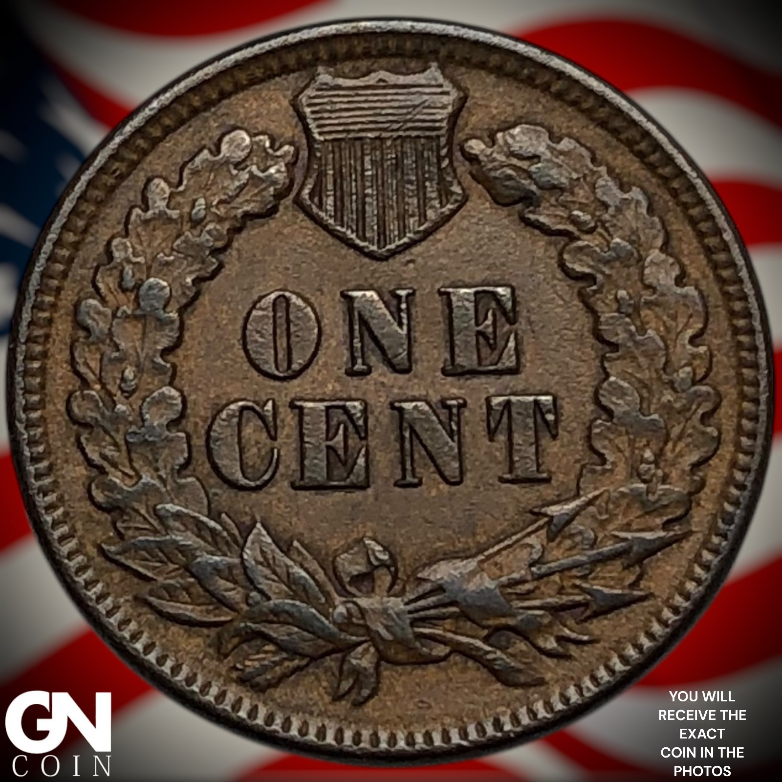 1895 Indian Head Cent Penny Z6840