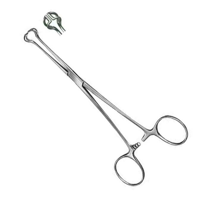 BABCOCK Intestinal Tissue Forceps, 9.5" with 15 mm wide Jaw, Stainless