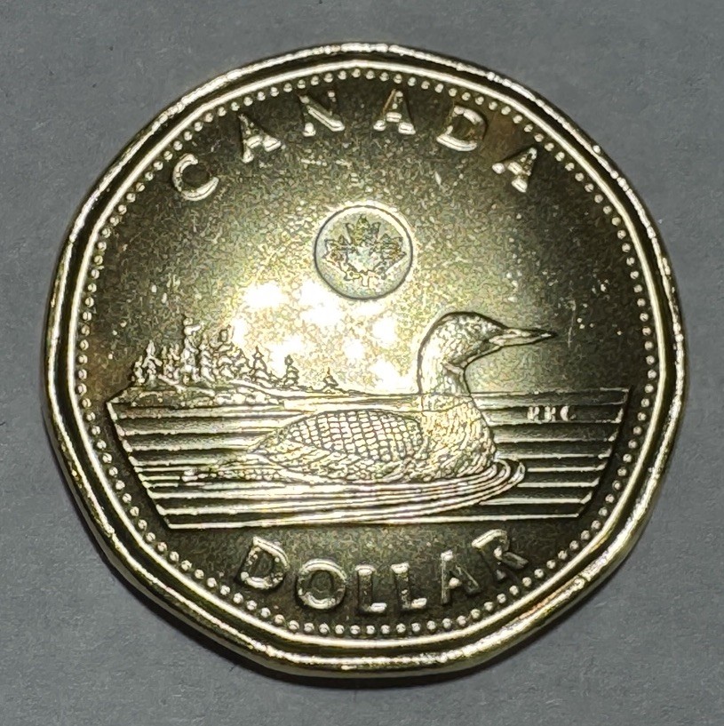 2022 Canadian Last Year QE II Effigy $1 Dollar Loonie Coin. Uncirculated BU