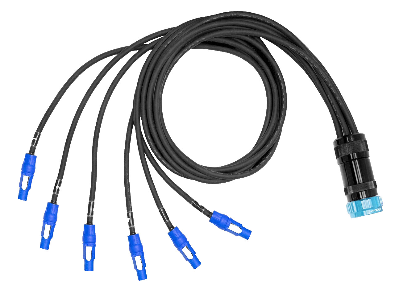 SOCO 19 PIN to  6 Channel PowerCON A Blue Connectors 6 ft SOCAPEX Breakout Cable