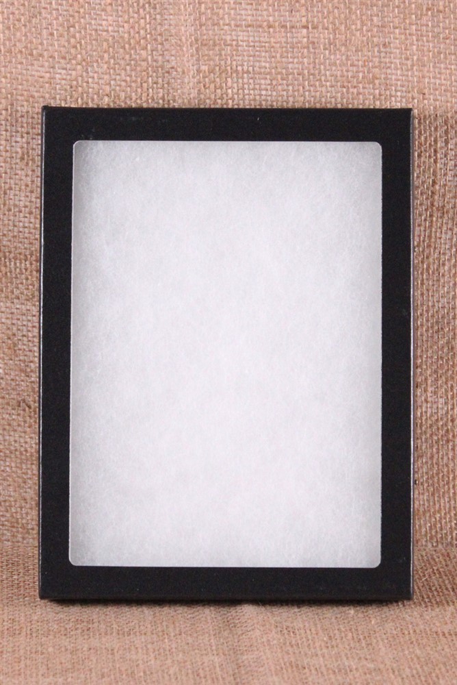 Collector's Display Case: 6 x 8 x 3/4" (Riker Type) - Package of 1