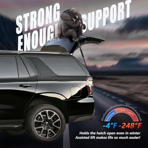 Trunk Struts Rear Hatch Compatible with 2005-2010 Scion TC Base/Spec 4597
