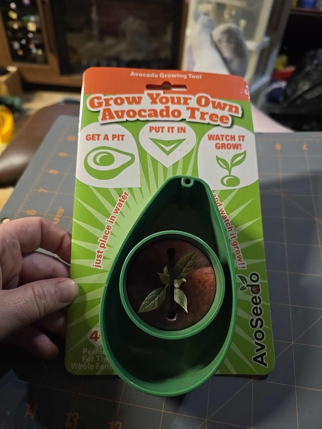 AvoSeedo Avocado Tree Growing Kit Tool Bowl Pit Garden New Perfect For Whole Fam