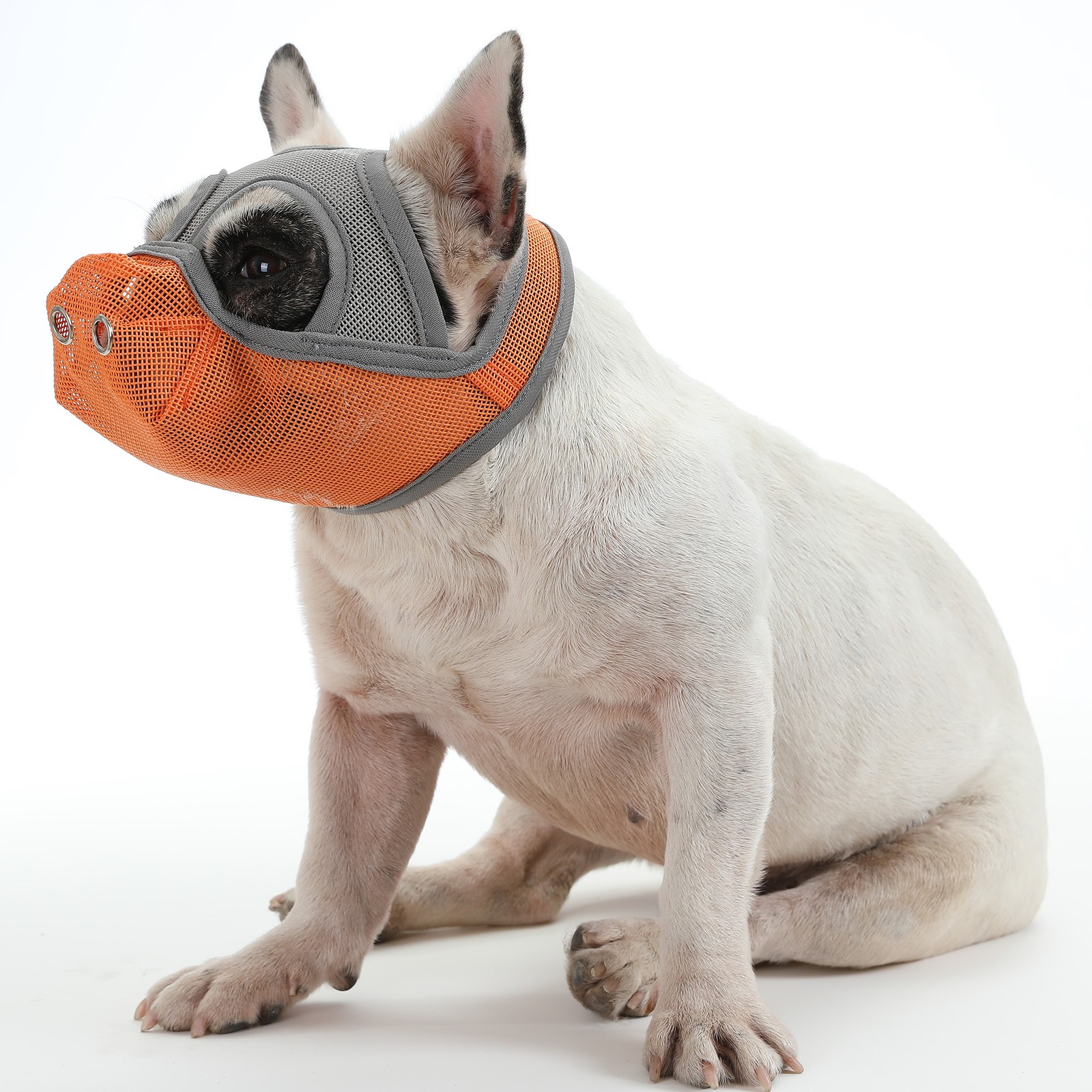 Dog Muzzle Breathable Mesh For Short Snout Dogs Prevent Biting Barking IHVZ