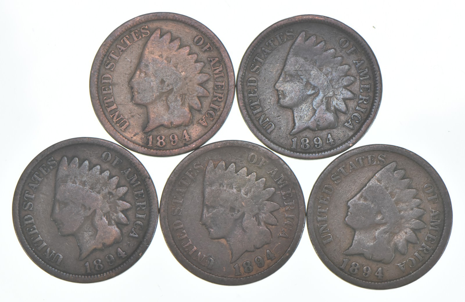 1894 Indian Head Cent AC Average Circ