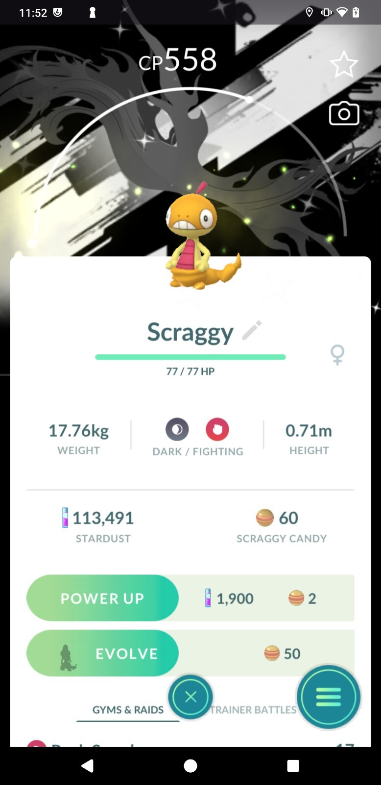 shiny Scraggy special background Unova GOTour -MlNl P T C