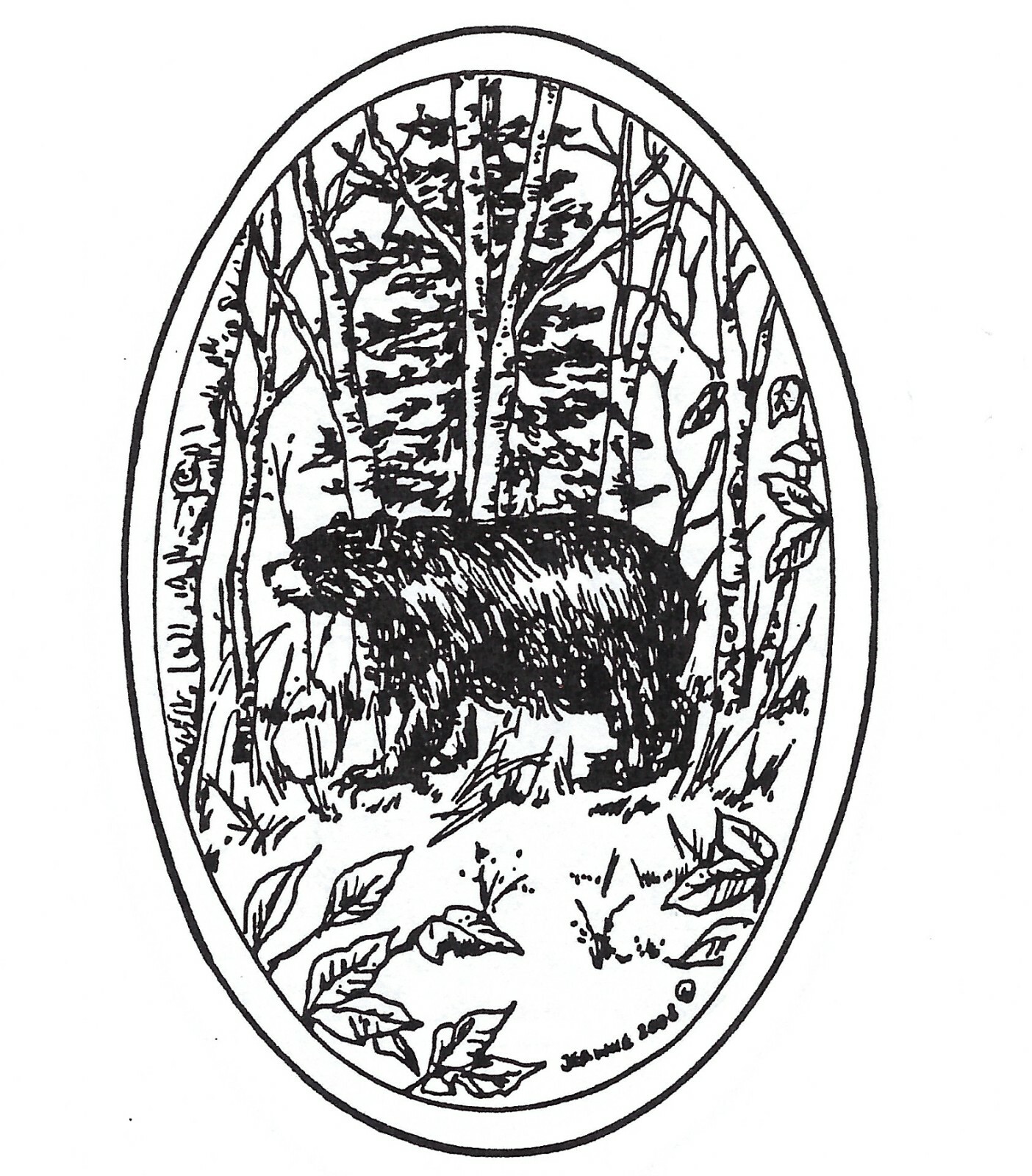 BEAR Wildlife Bear Forest Oval Wood Mounted Rubber Stamp NORTHWOODS M3609 New
