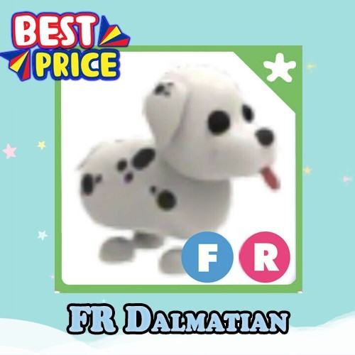 FR Dalmatian - Fly Ride - Adopt Now