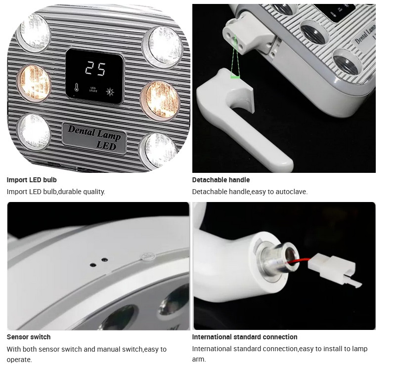 6 LEDs 10W Dental Shadowless Operating Induction Lamp with LCD Display 22mm