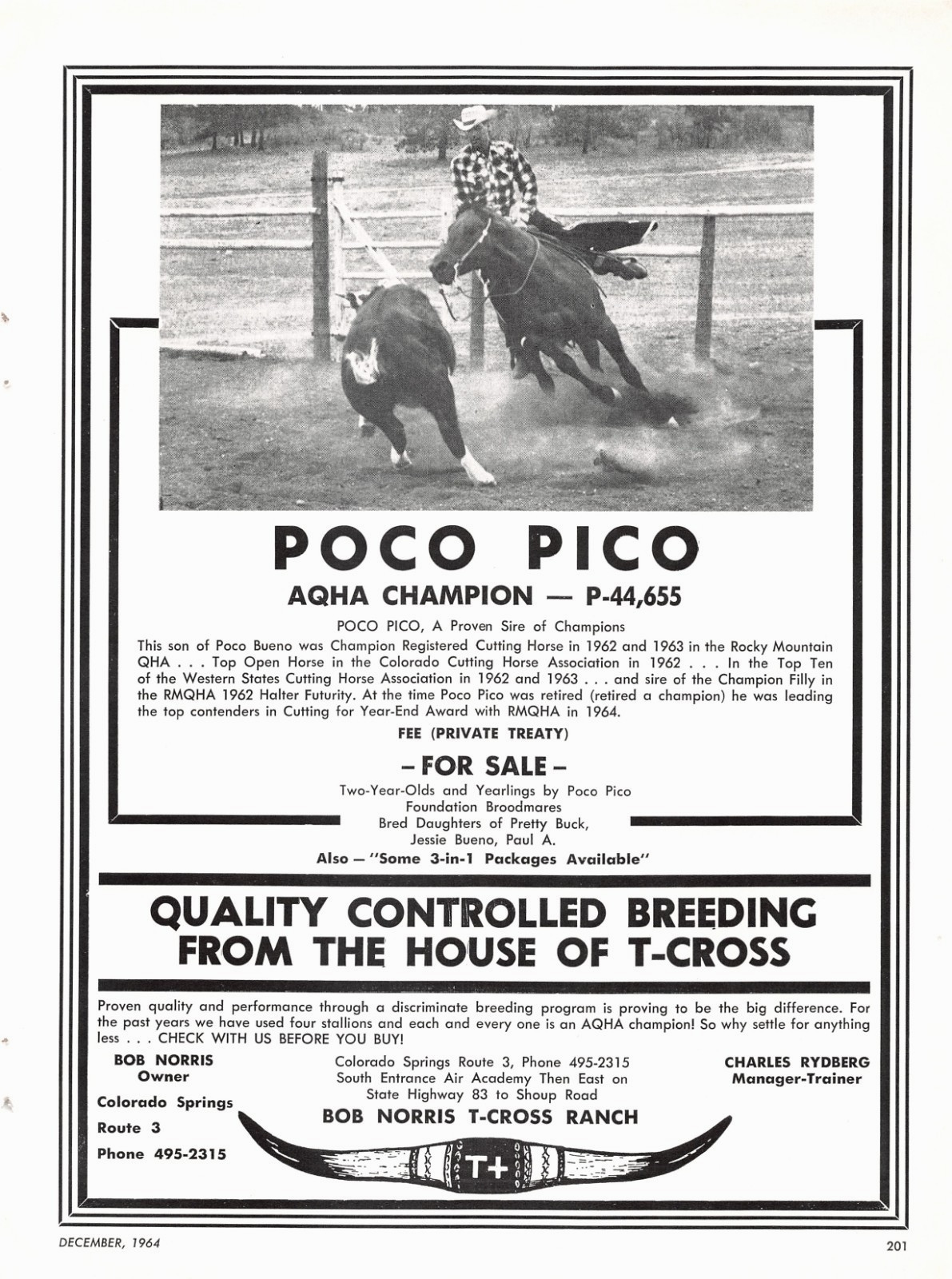 Poco Pico Aqha Champion T Cross Ranch Colorado Springs CO Vtg Magazine Print Ad