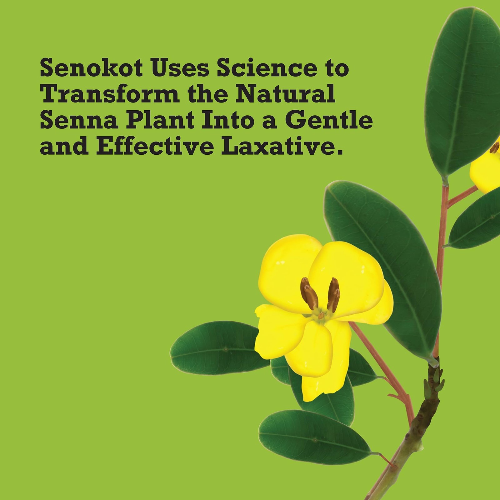 Senokot Regular Strength Laxatives for Constipation, Senna Laxative Tablets, ...