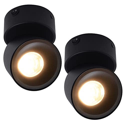 2 Pack 12V LED COB Ceiling Spotlight Downlight with LED Spotlight, 2Packs