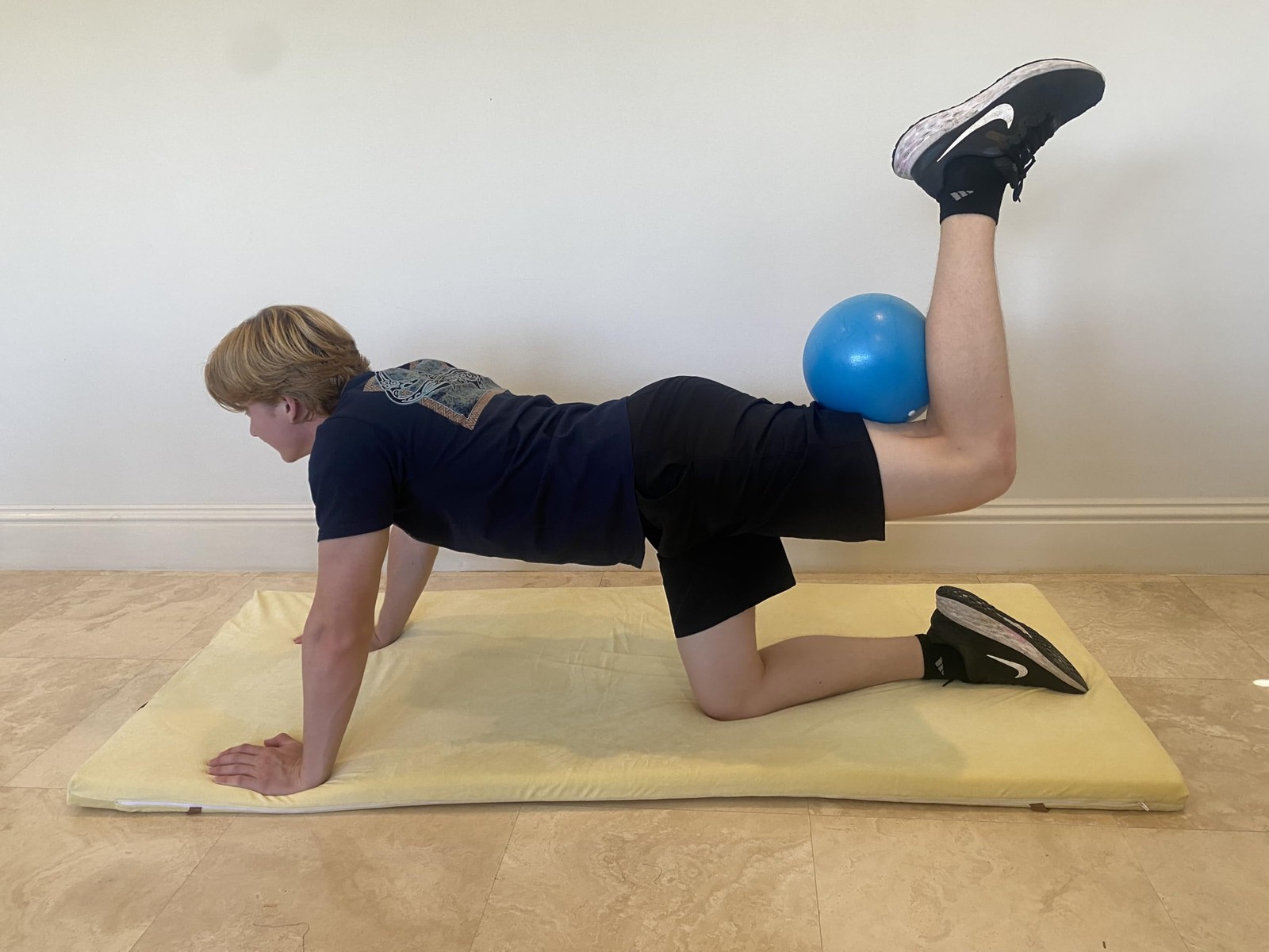 Therapist's Choice 9" Diameter Mini Exercise Ball Professional Grade Pilates