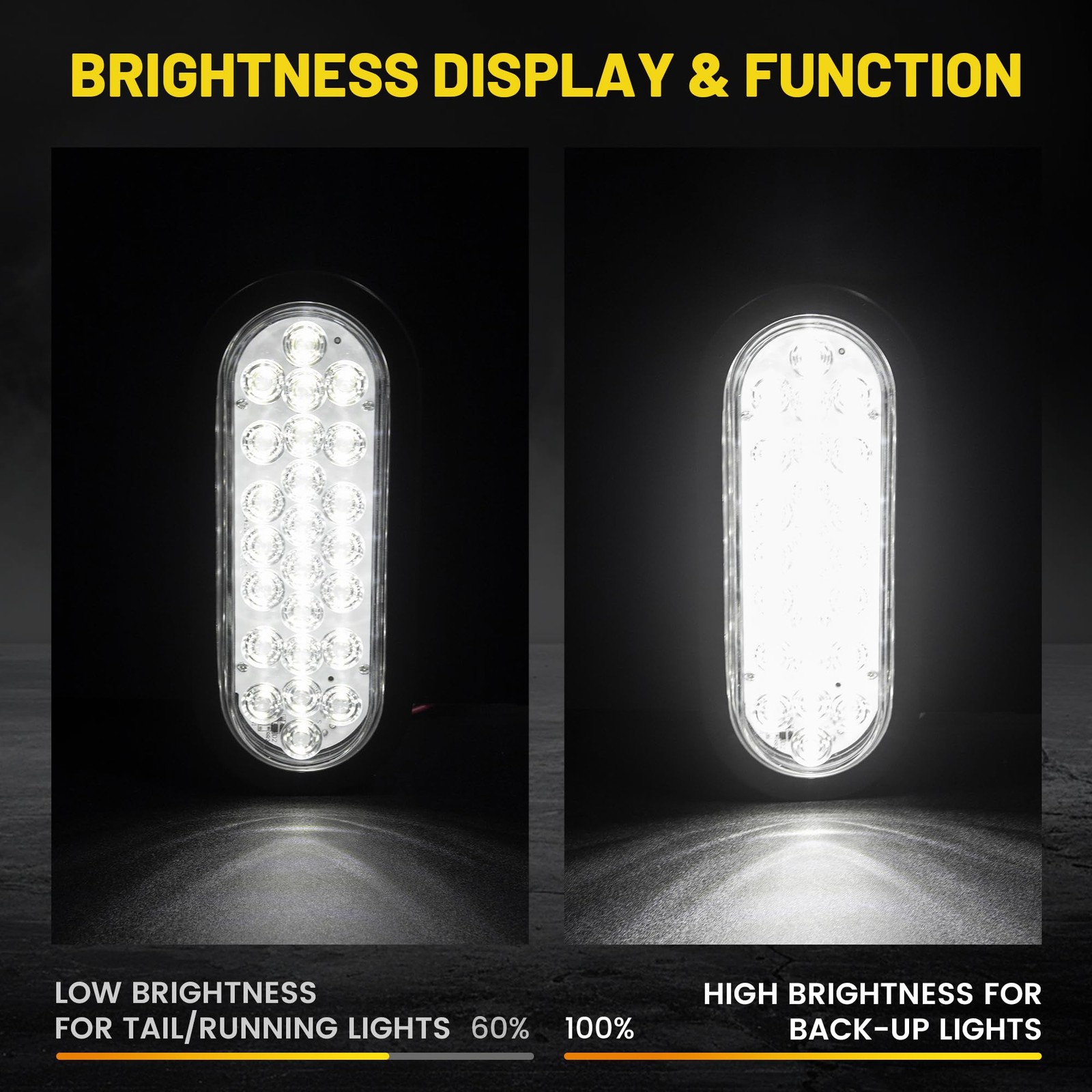 6 Inch Oval White LED Trailer Tail Lights with 6" 24LEDs Light