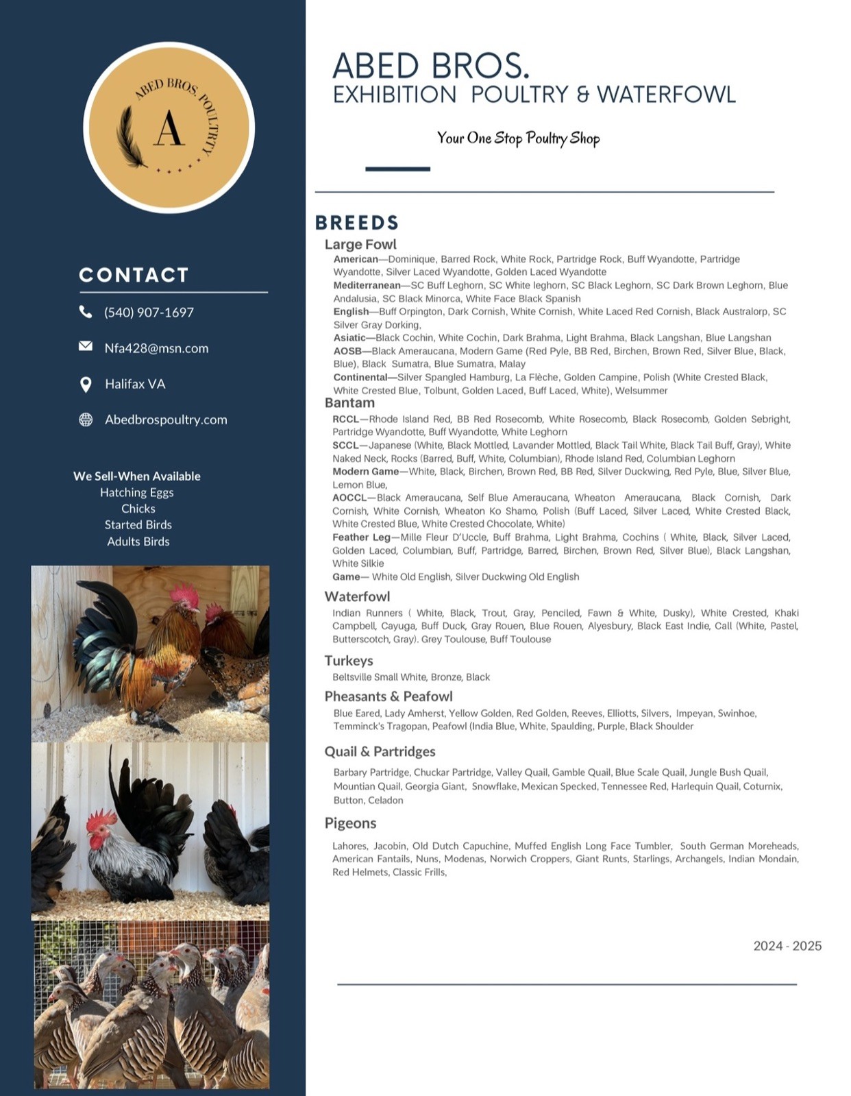 Assorted Bantam Hatching Eggs—Exhibition Line