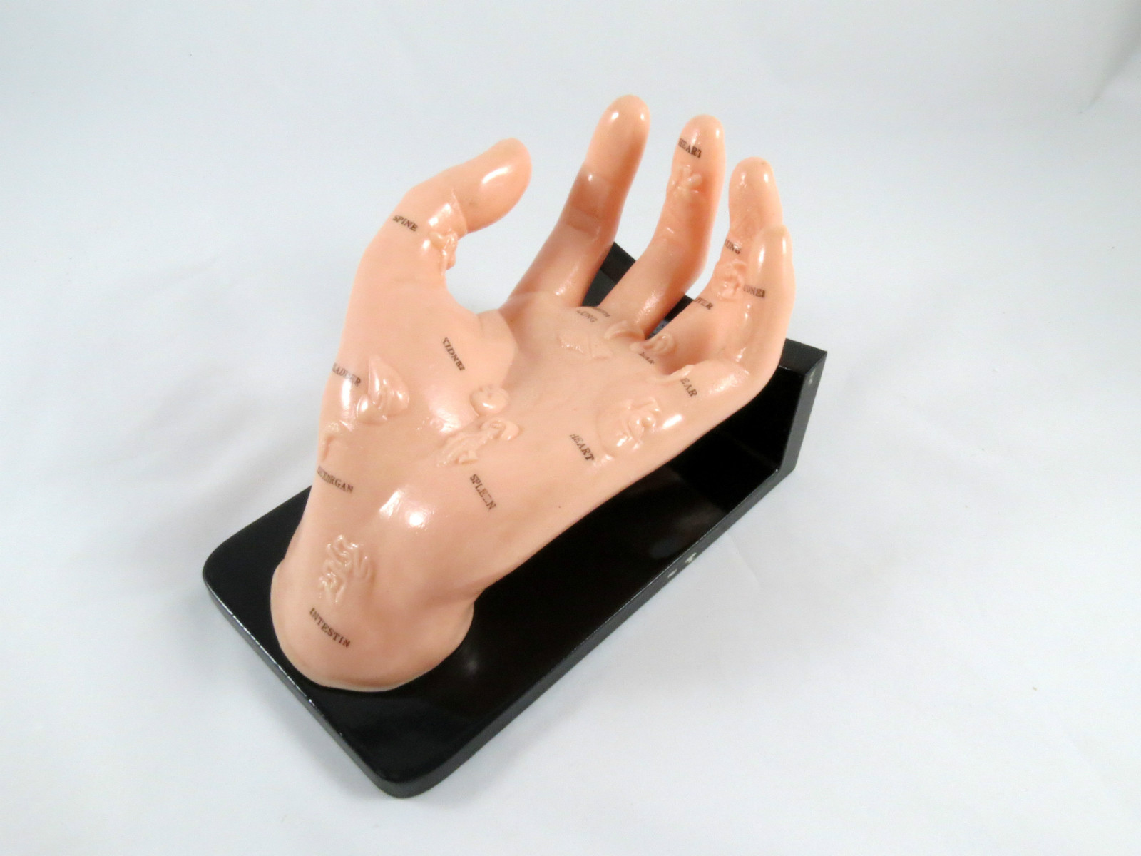 Acupuncture Model | Hand & Stand IT-101 | ARTMED