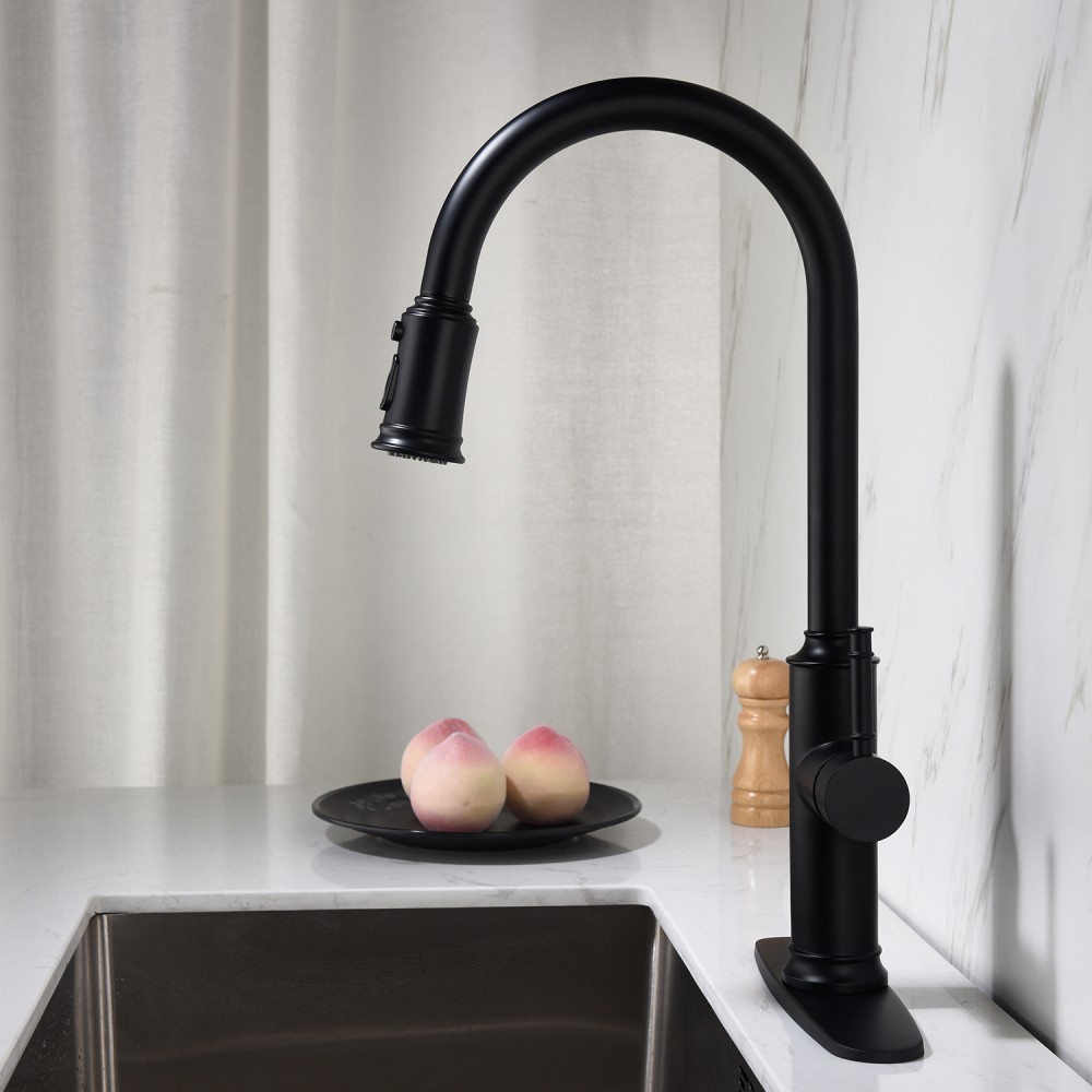 Kitchen Faucet with Pull Out Sprayer Single Handle High Arc Stainless Steel