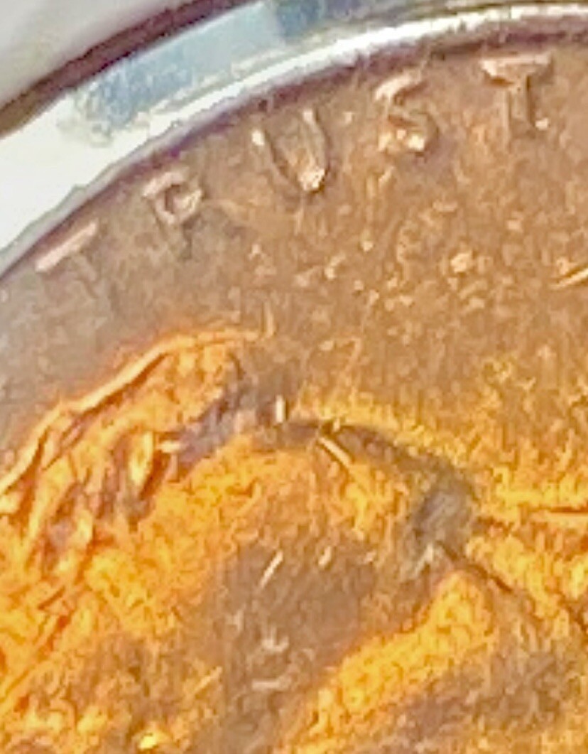 1971 Lincoln Cent - Red - DDO FS-101