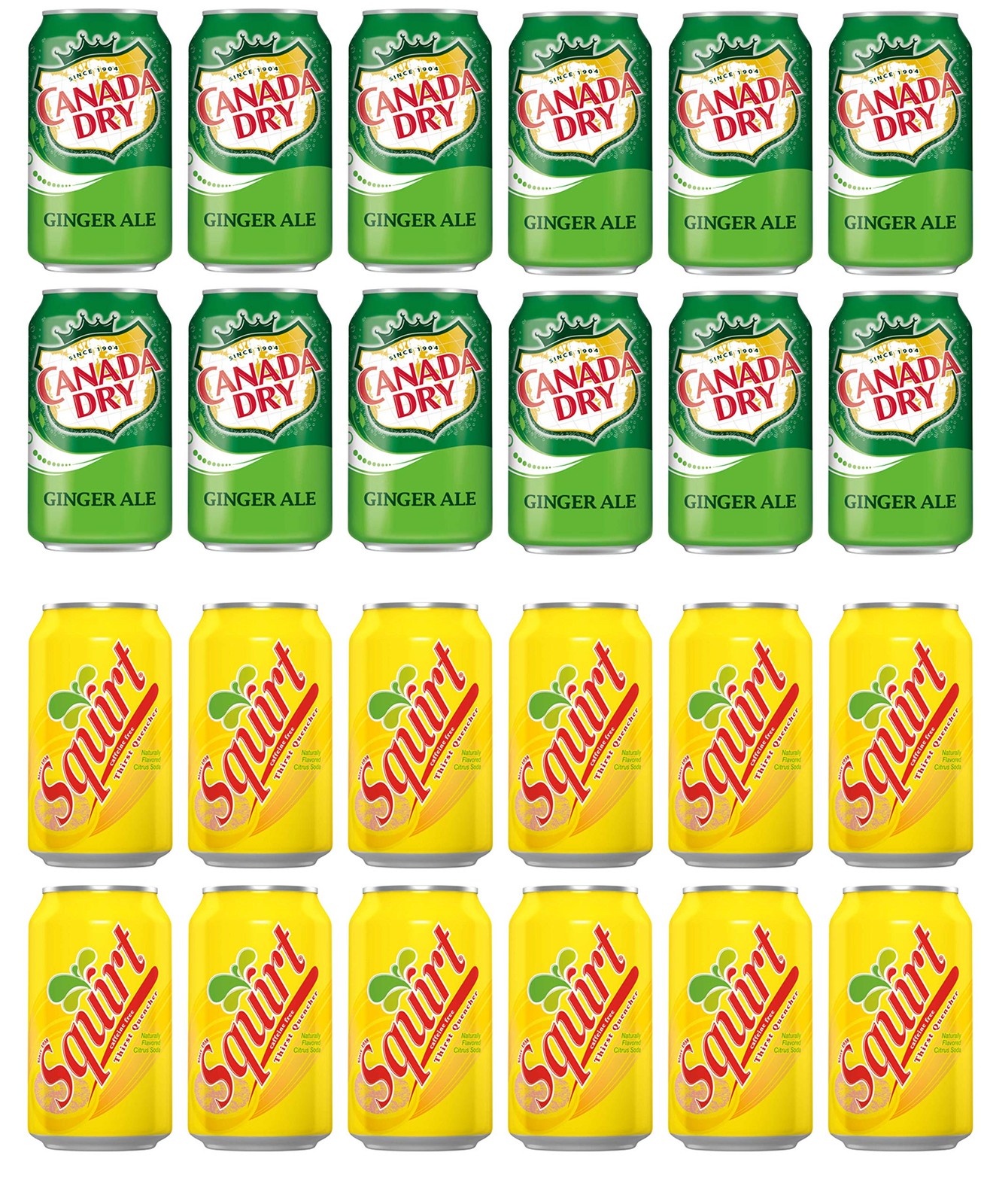 LUV-BOX Variety Soda pack , pack of 24 , 12 fl oz , CANADA DRY GINGER ALE ,