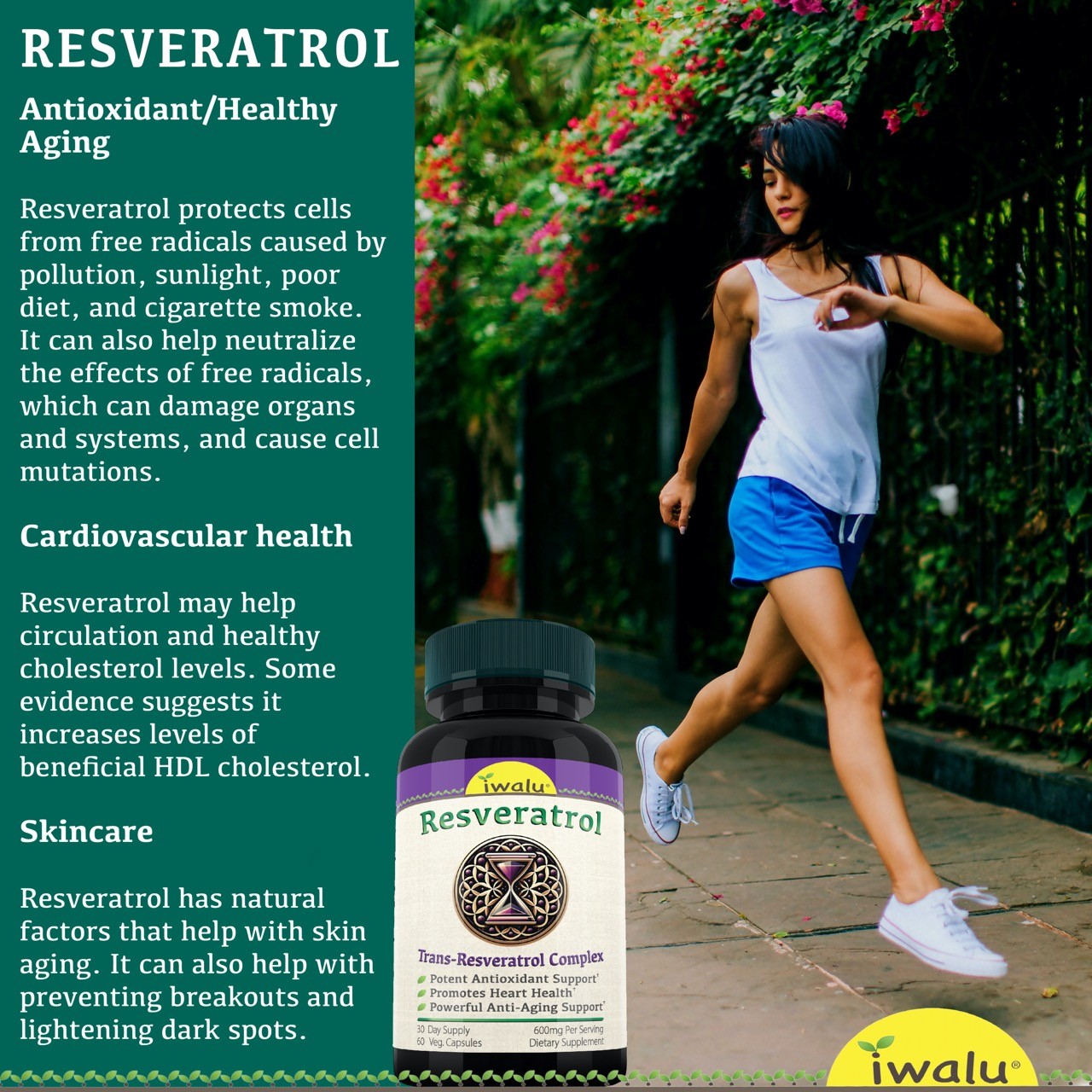 Resveratrol | Best Cortisol Reducer Supplements, IWALU (Official) *FREE SHIPPING