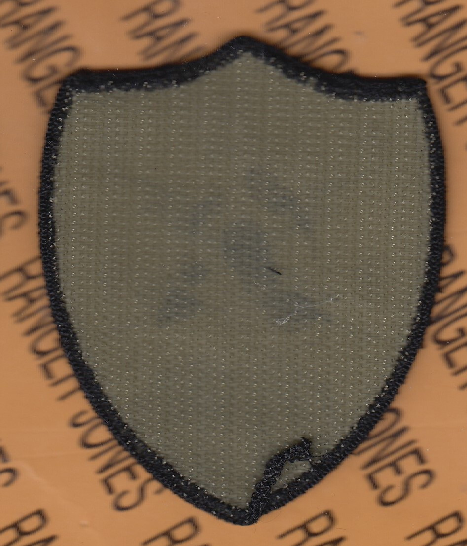 US Army 91st Cyber Brigade ~3.25" OCP w/ HOOK patch m/e