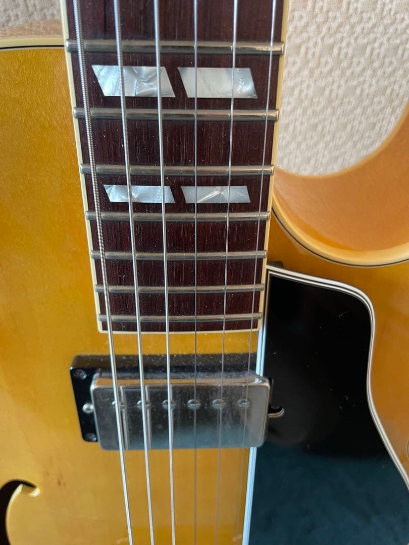 Terada Es175Archtoptribute At-102 Full Aco
