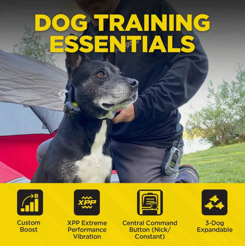 Dogtra 280X Remote Dog Training Collar 1/2 Mile Range