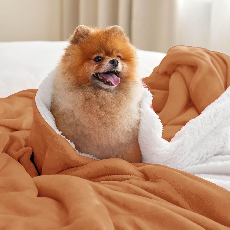 Cozy Reversible Sherpa Fleece Throw Blanket Warm Soft Durable Gift Ready New