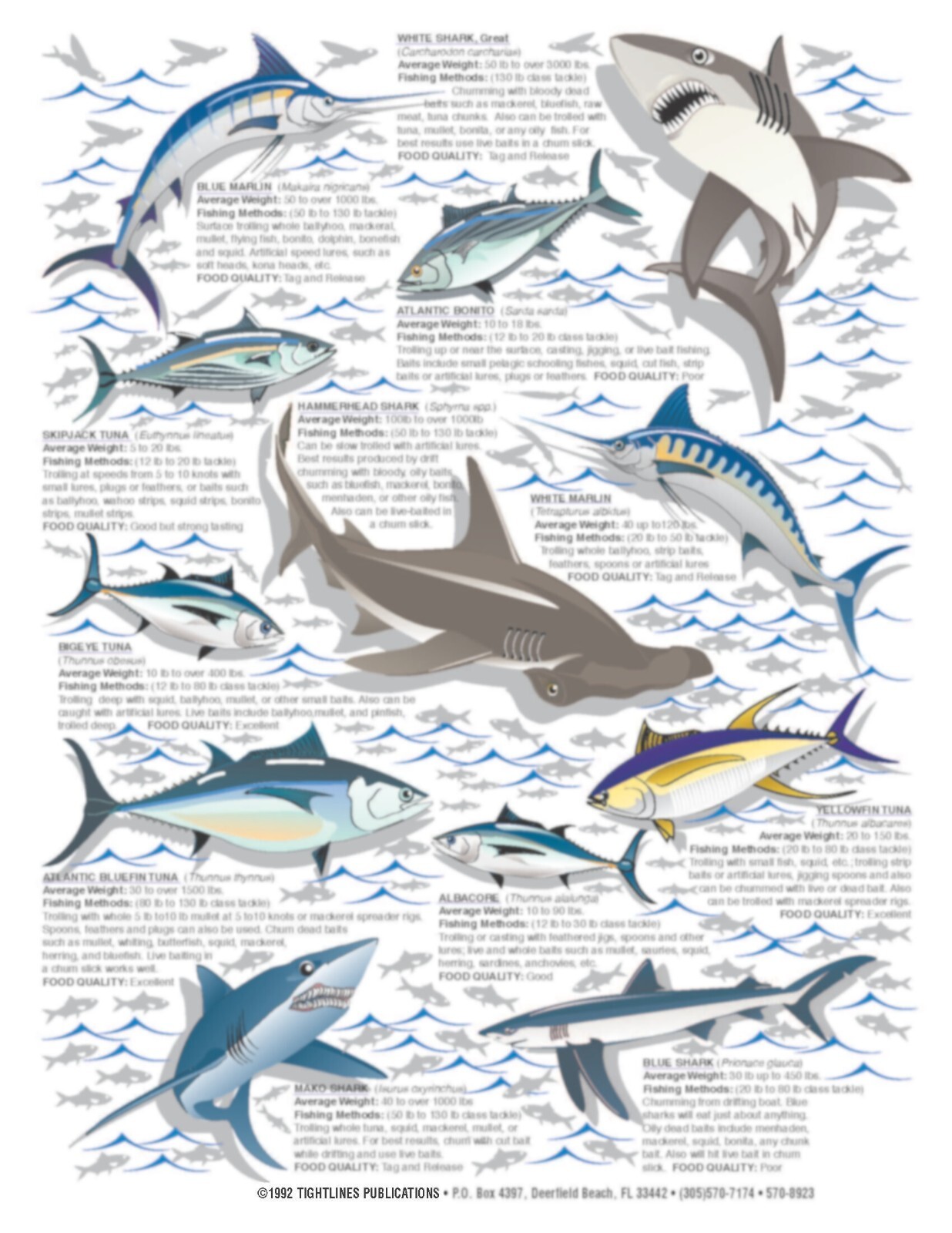 Saltwater Identification #2 - Waterproof Quick Reference Guide