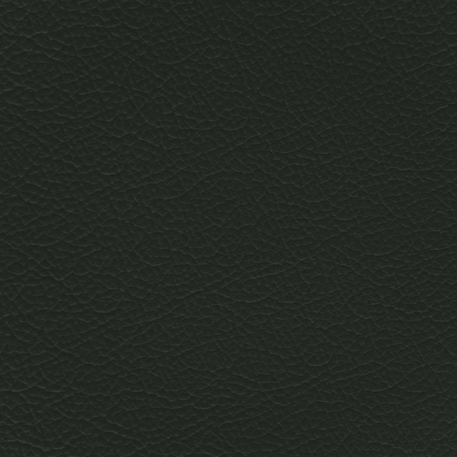Jaguar Pine Green Leather Dye
