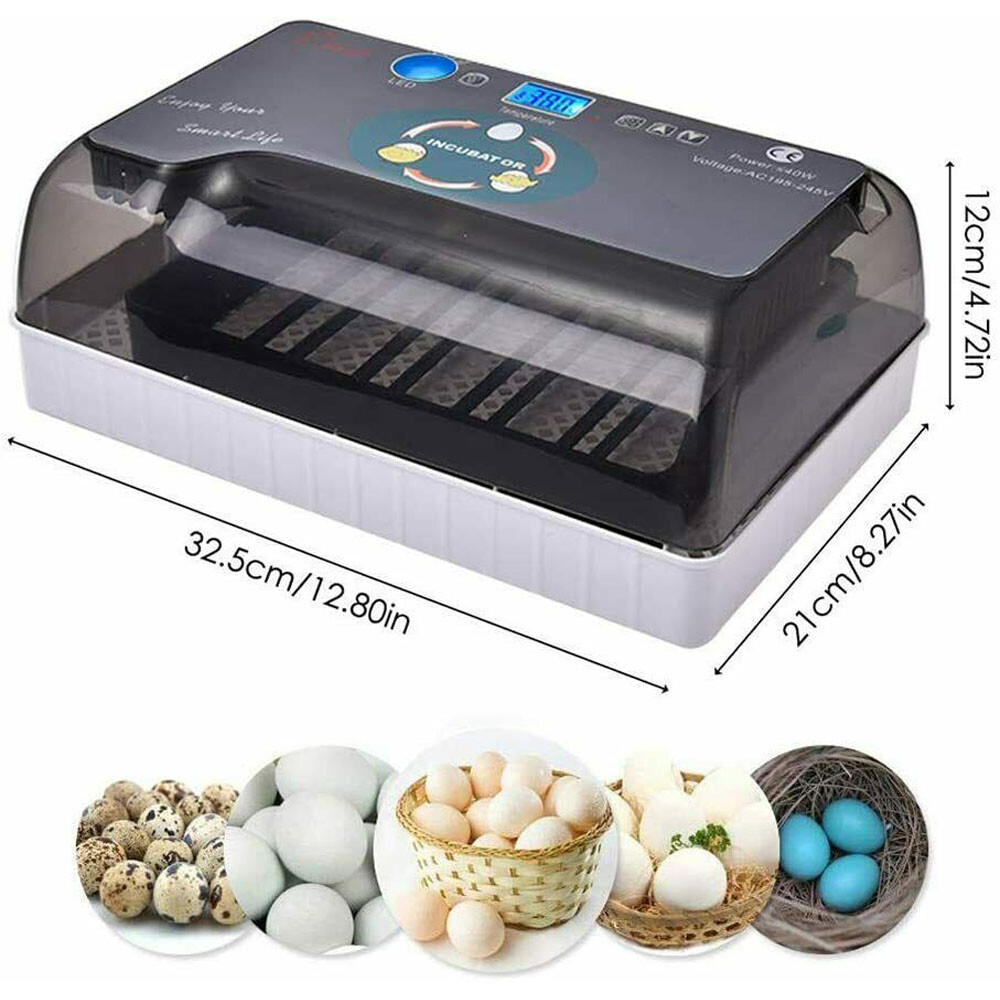 12 Eggs Incubator Automatic Eggs Hatcher For Chicken Quail Poultry Hatching US