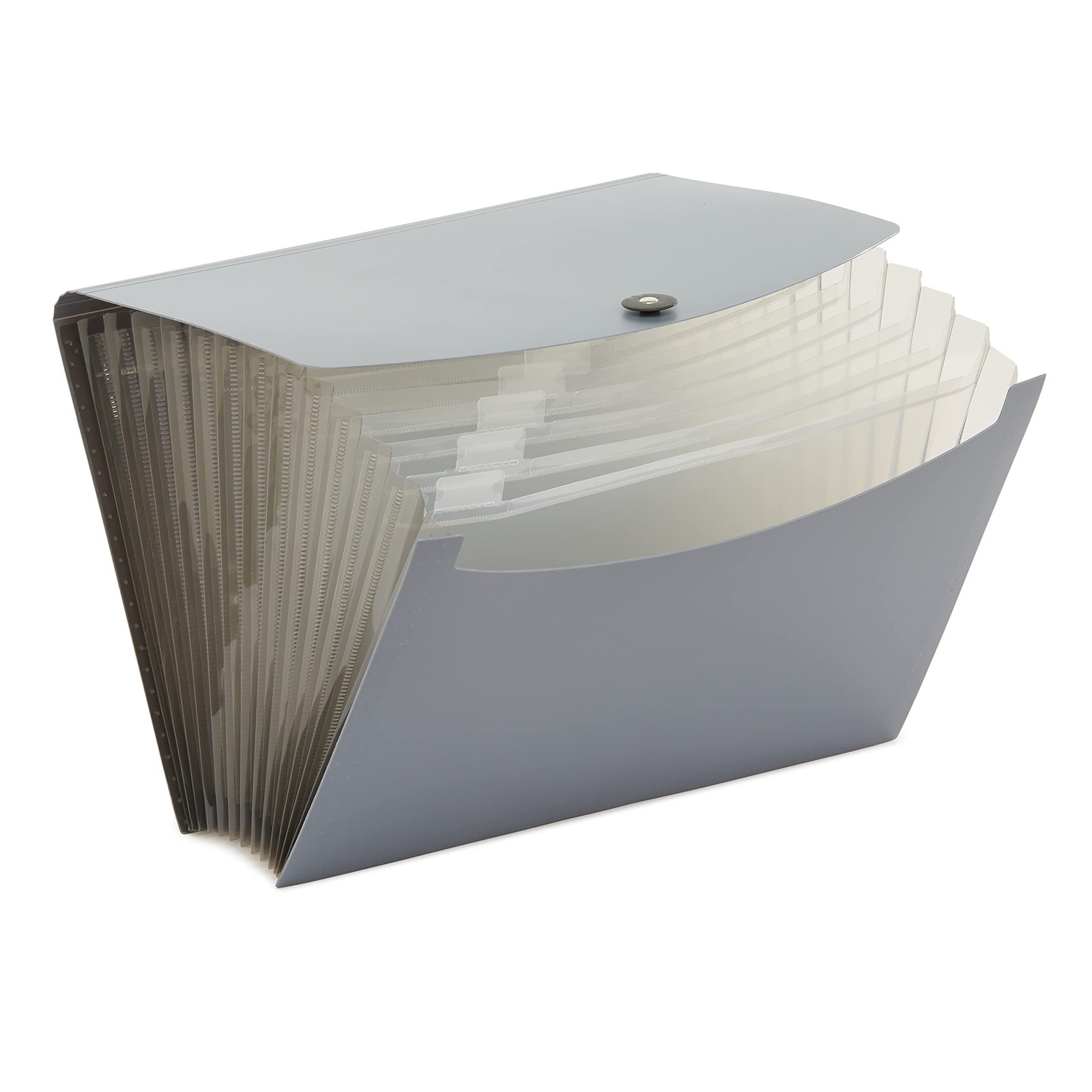 Amazon Basics Expanding Organizer File Folder for 1-Pack, Black & Gray