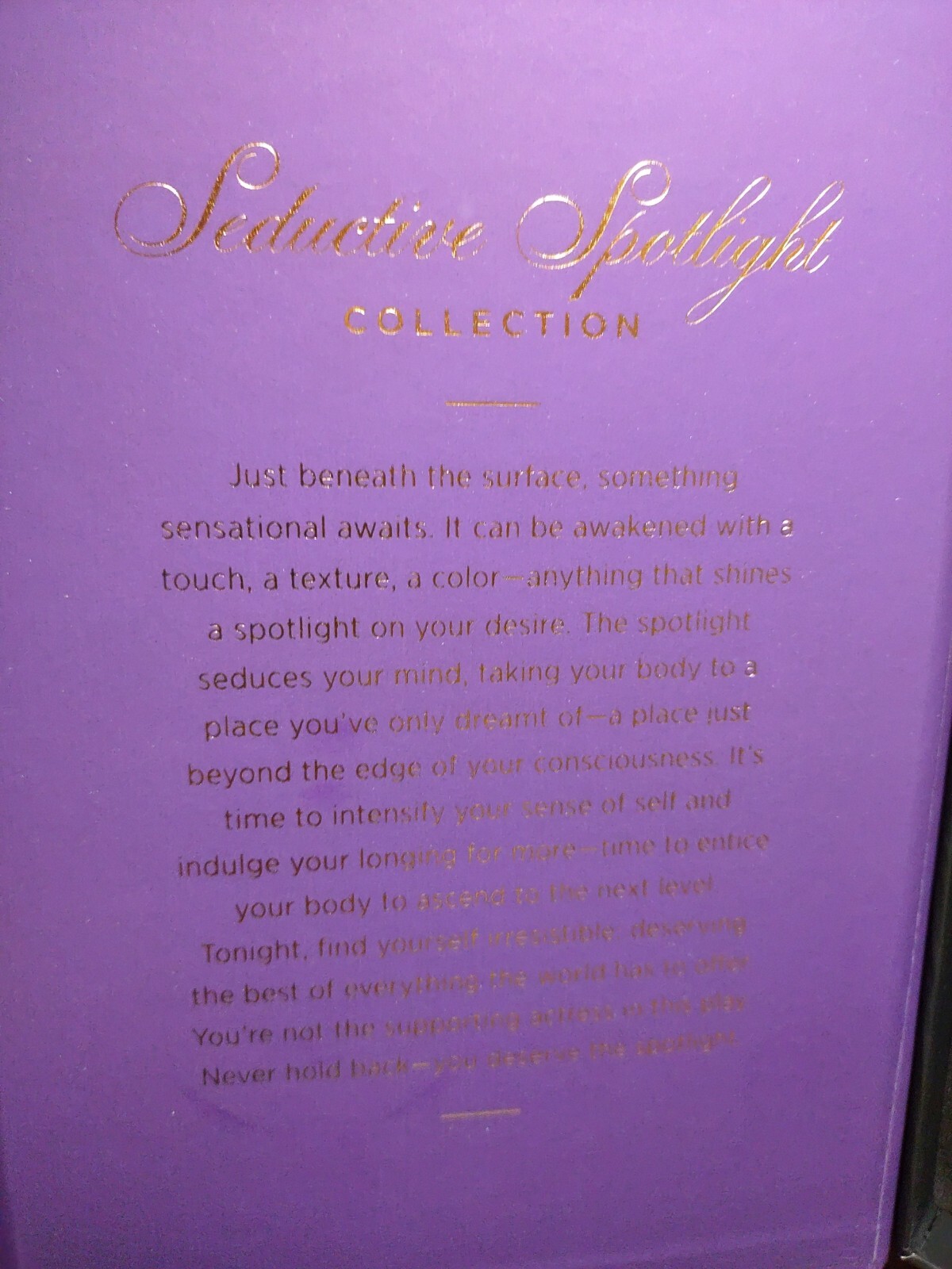 NEW Seductive Spotlight Collection multi settings purple usb to charge vibrator