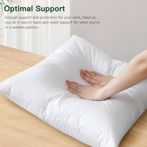 Pack of 1 Down and Feather Throw Pillow Inserts, 24 x 24x24 Inch (Pack of 1)