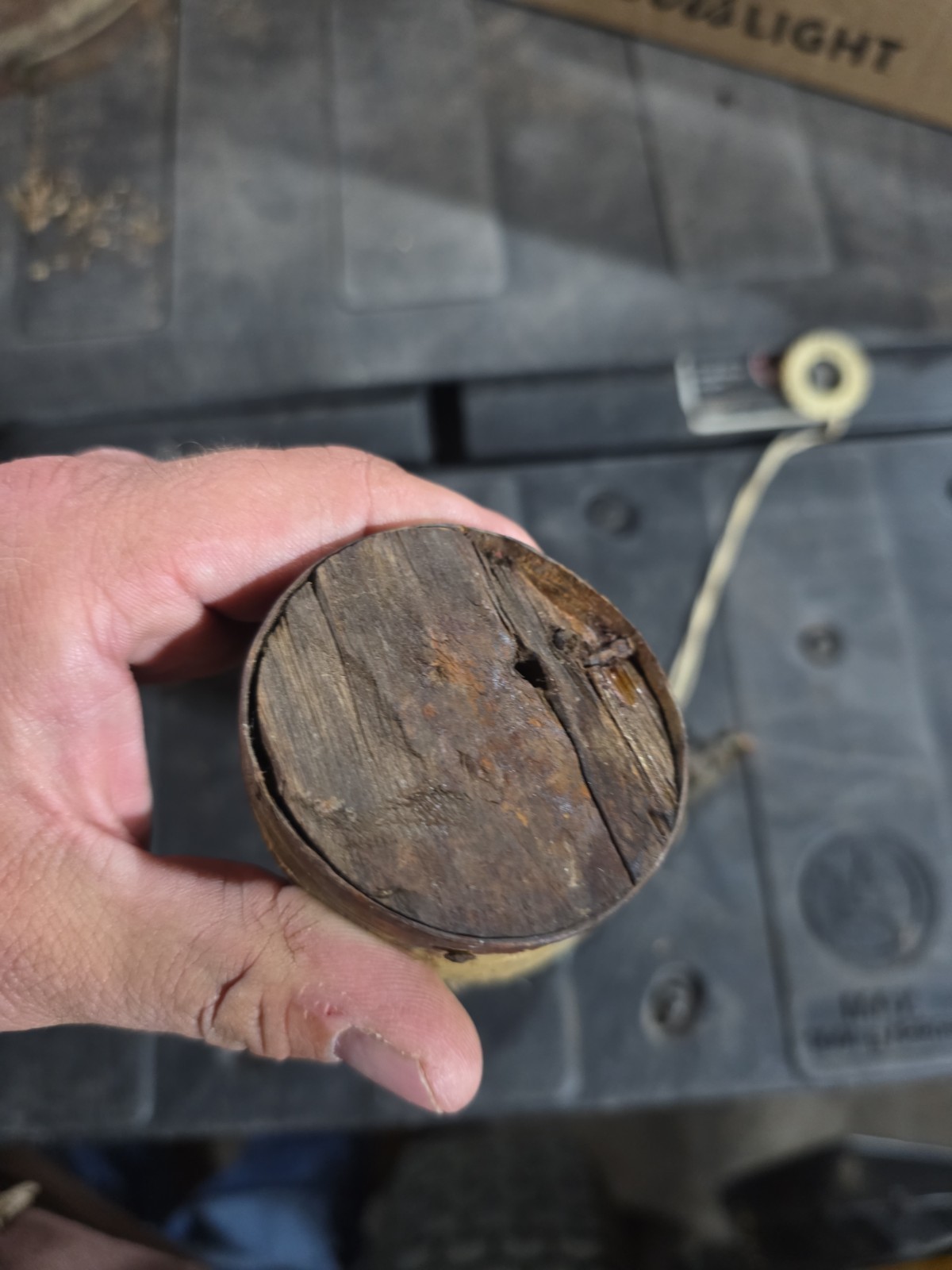 Antique Horn Ammo Loader With BBs