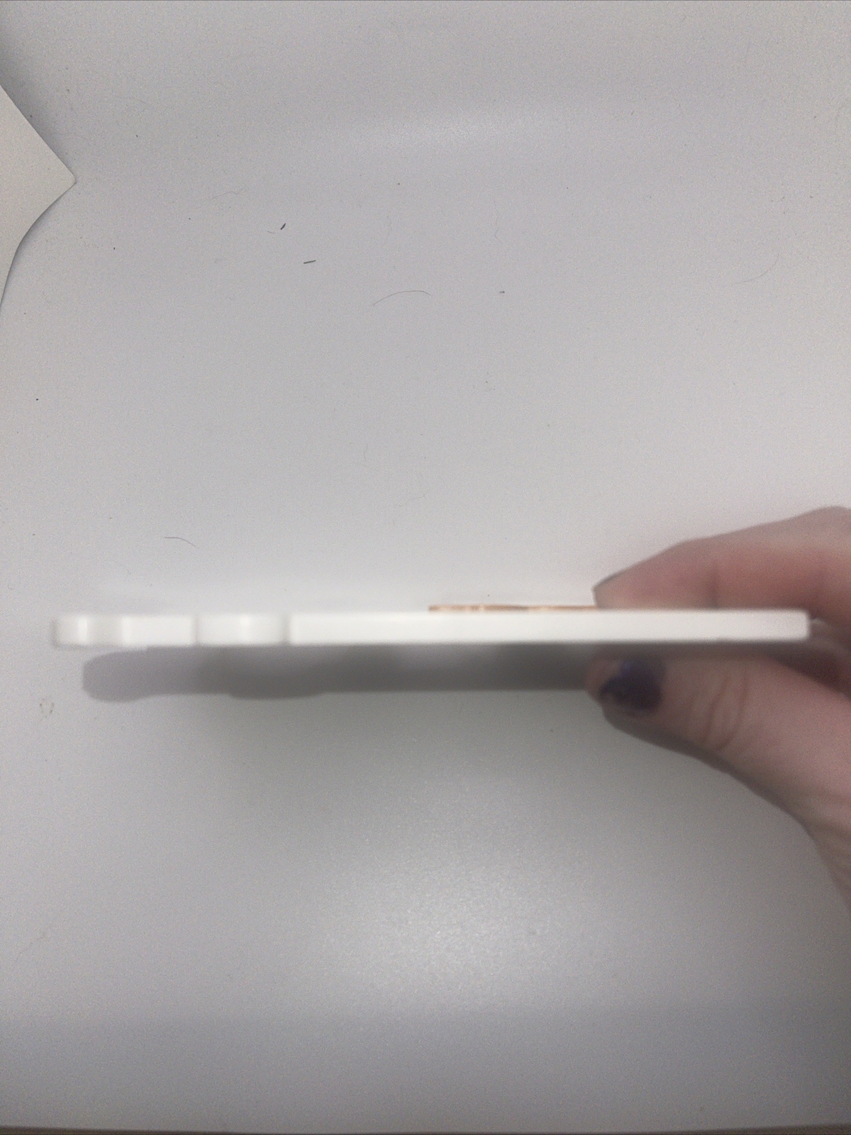 Monkey Wall Switch Plate-no Screws