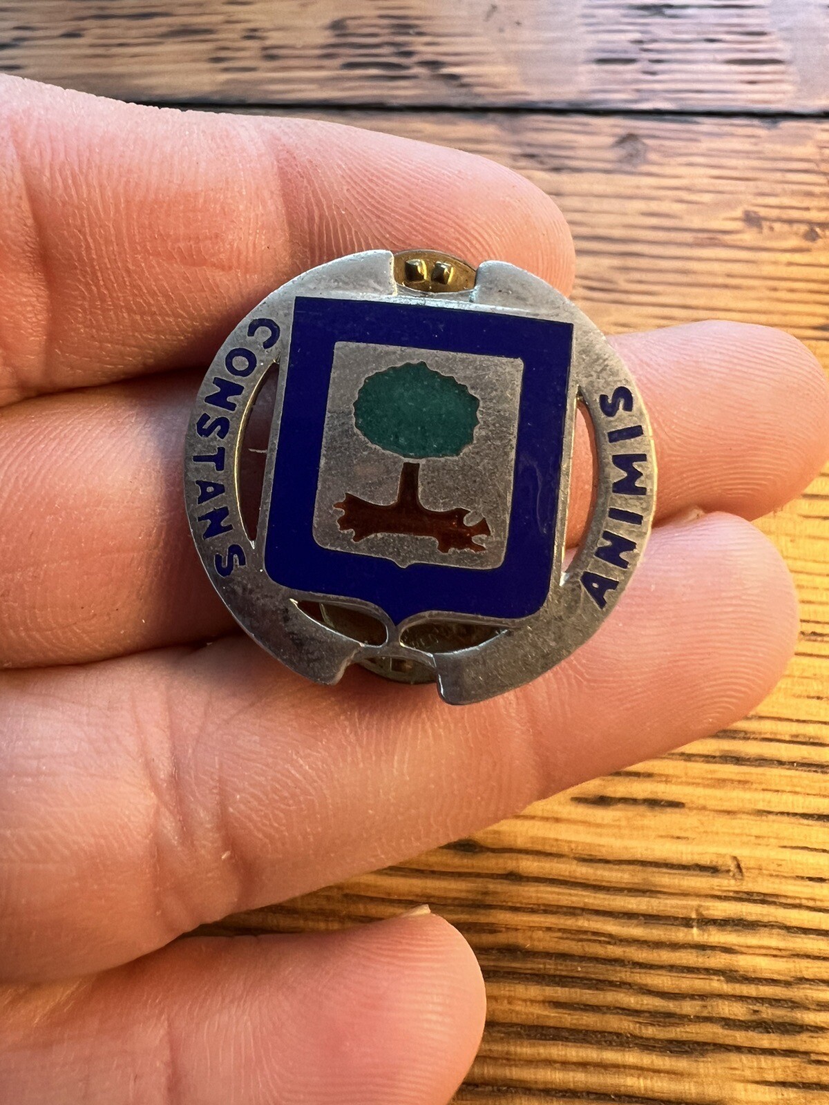 US Military 218th Infantry Battalion DI Pin Crest Medal Badge Clutchback