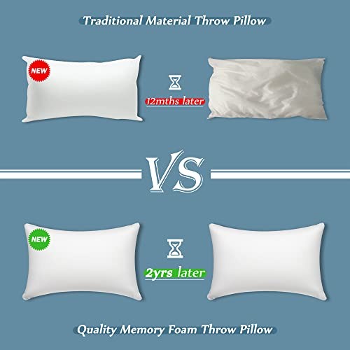 12 × 20 Throw Pillow Memory Foam Pillow Insert - 12x20 Inch White Pack of 1