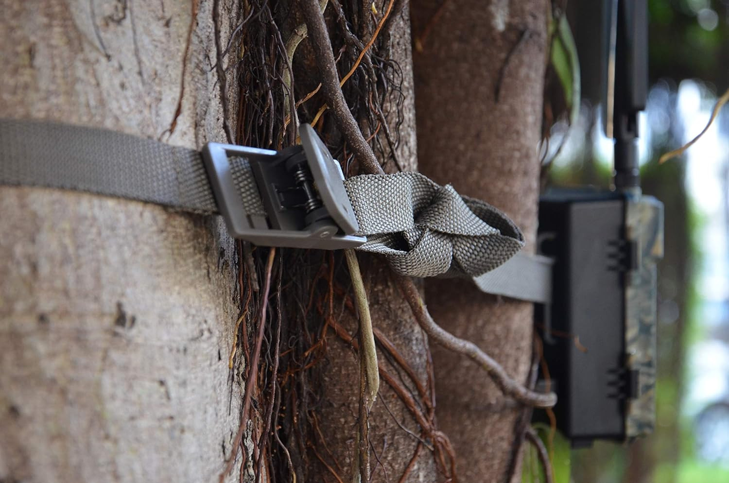 Wildlife Trail Camera Mounting Straps
