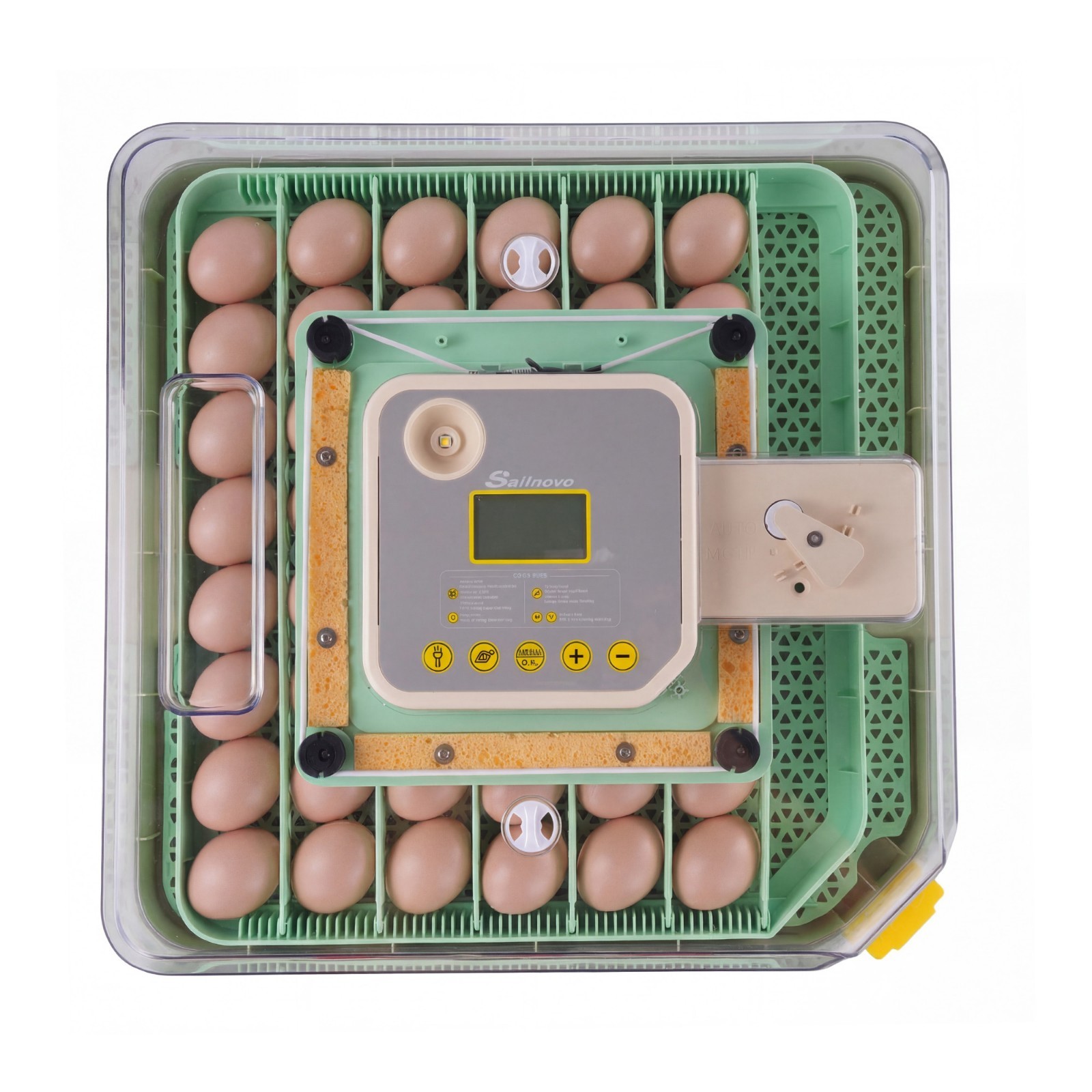 48 Eggs Incubator with Automatic Egg Turning Precise Temp & Humidity Control New