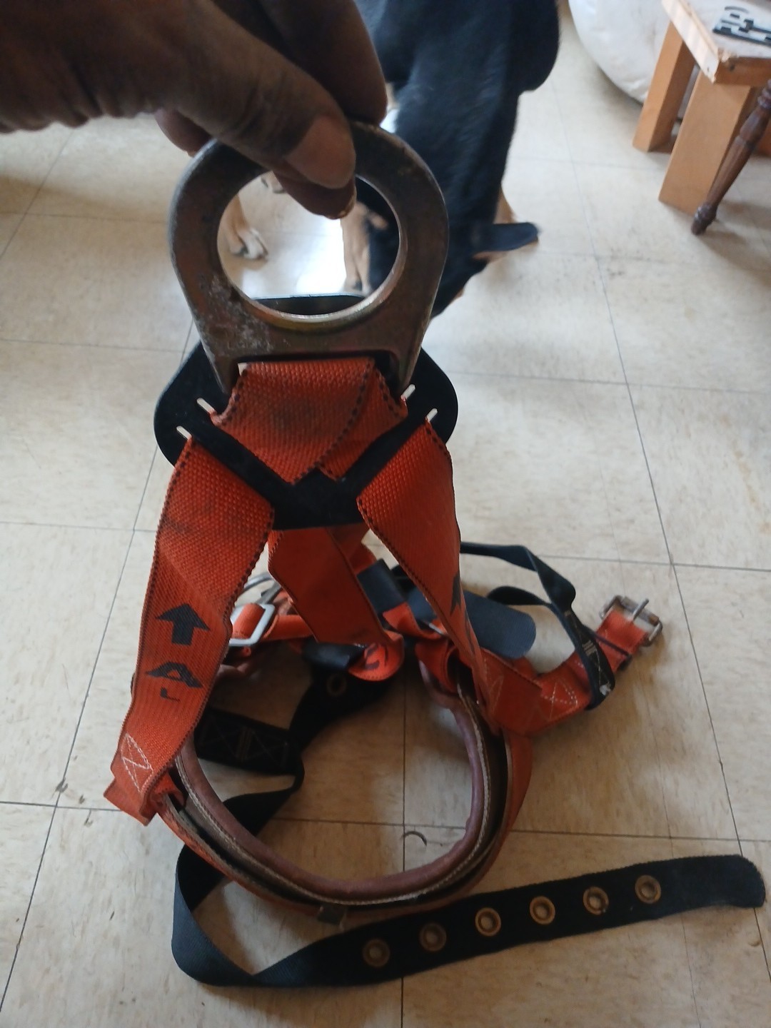 Large,  Klein Heavy Duty Lineman Leather Climbing Belt and Harness #87831