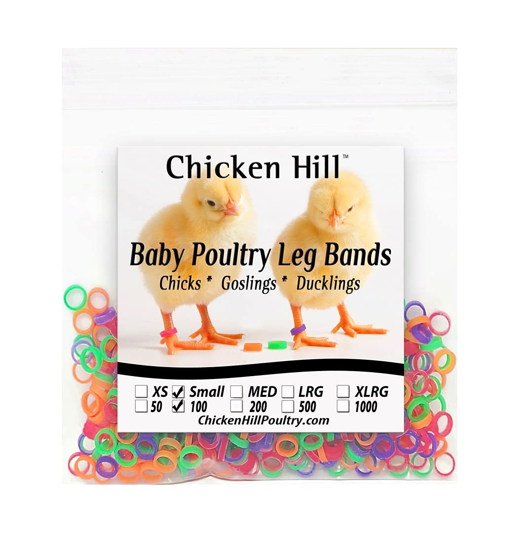 Baby Poultry Leg Bands Size 3, 3/16 in, 100 Pack for Bantam Chicks & Ducklings