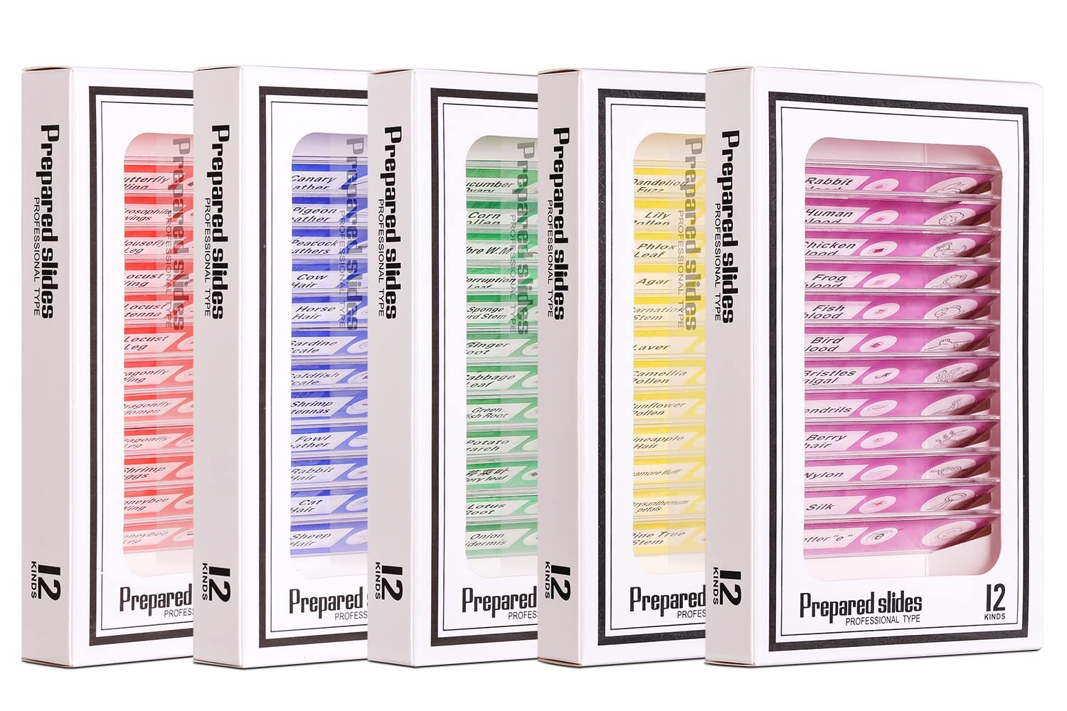 Prepared Plastic Microscope Slides with Specimens for Kids, Microscope Sample Sl