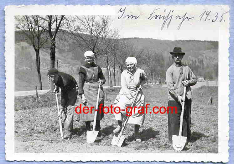 Photo, Farm, Heavy Work in the Field, 1935!!!