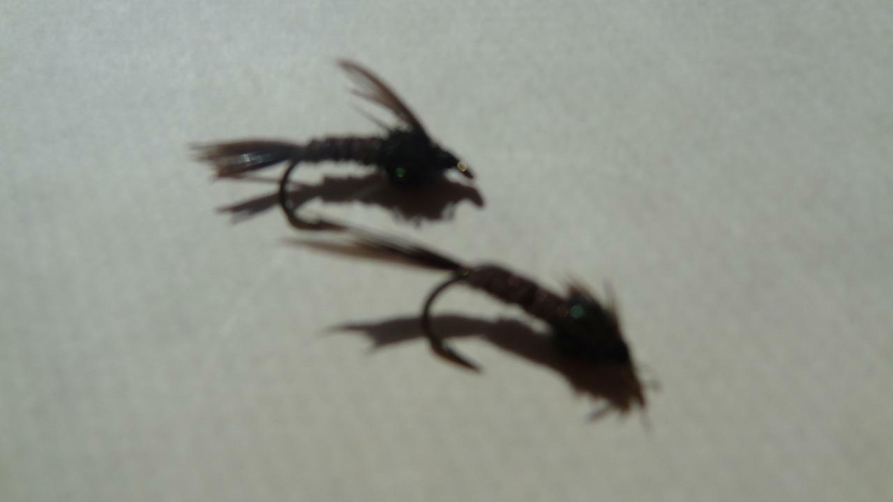 1 DOZ DF-6 FLASHBACK PHEASANT TAIL (SELECT YOUR SIZE) DRY FLY