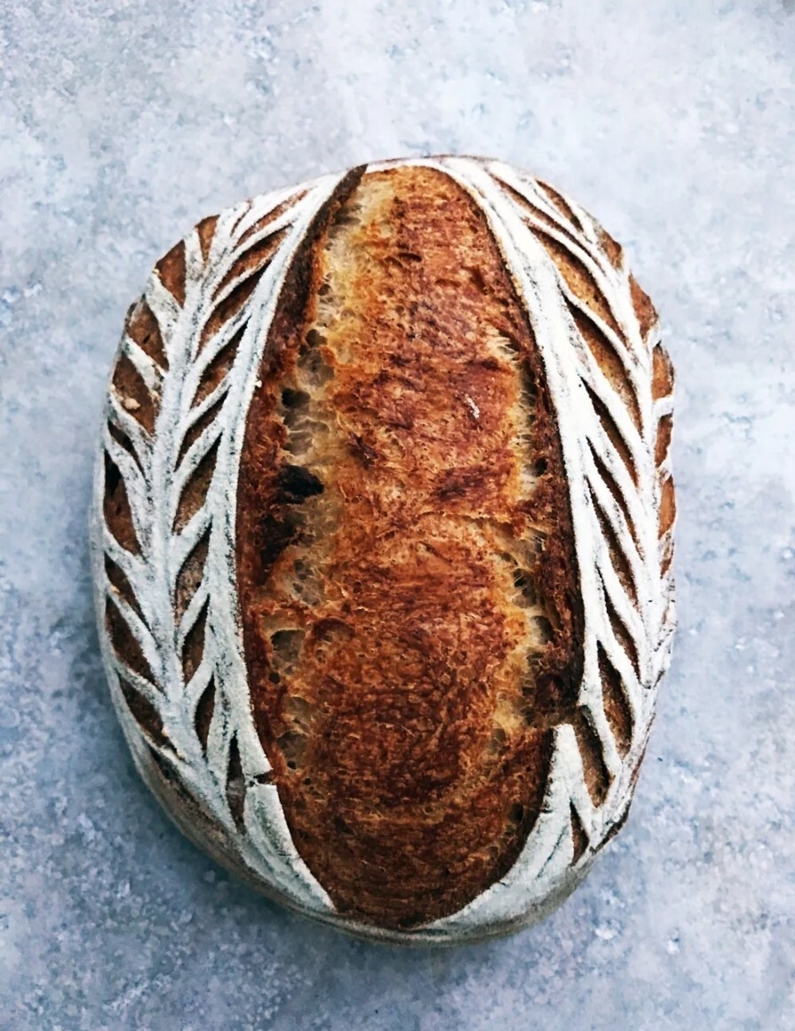 Sourdough Starter " Black Death "
